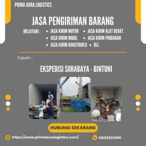 Jasa Pengiriman Barang Surabaya Bintuni Via Kapal Pelni
